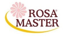 Rosa Master - Timbaúba - PE